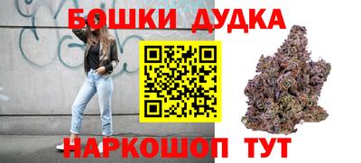 индика Коммунар