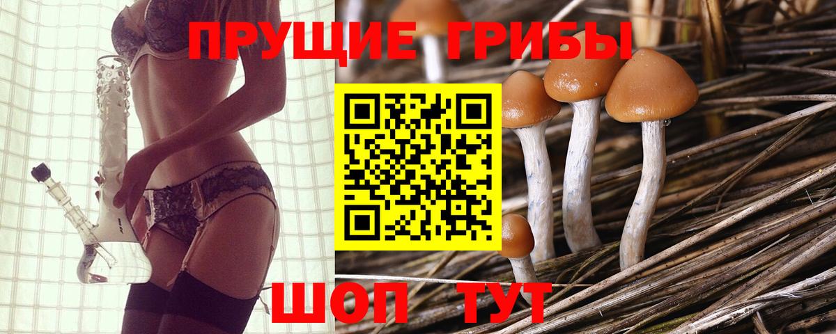 Галлюциногенные грибы мицелий  Псилоцибиновые грибы Magic Shrooms  Вход с VPN  Соль-Илецк 