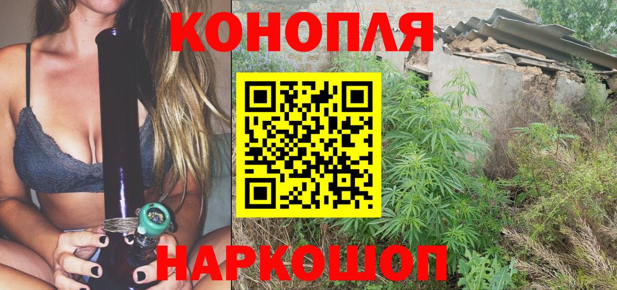 Шишки марихуана конопля  Вход с VPN  Бошки Шишки индика  Бошки марихуана семена  Соль-Илецк 